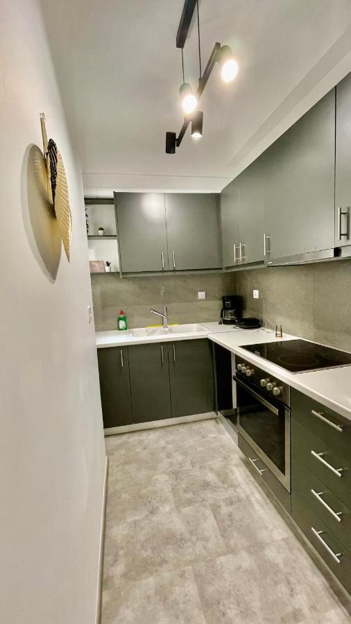 Gorgeous Renovated Apt. Close To Metro And Cultural Sites! Афіни Екстер'єр фото
